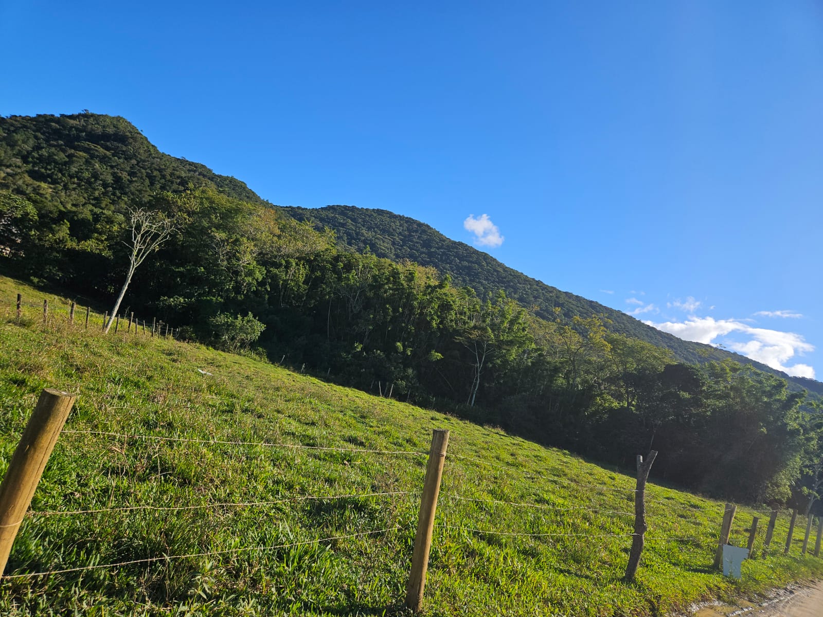 Terreno vista geral
